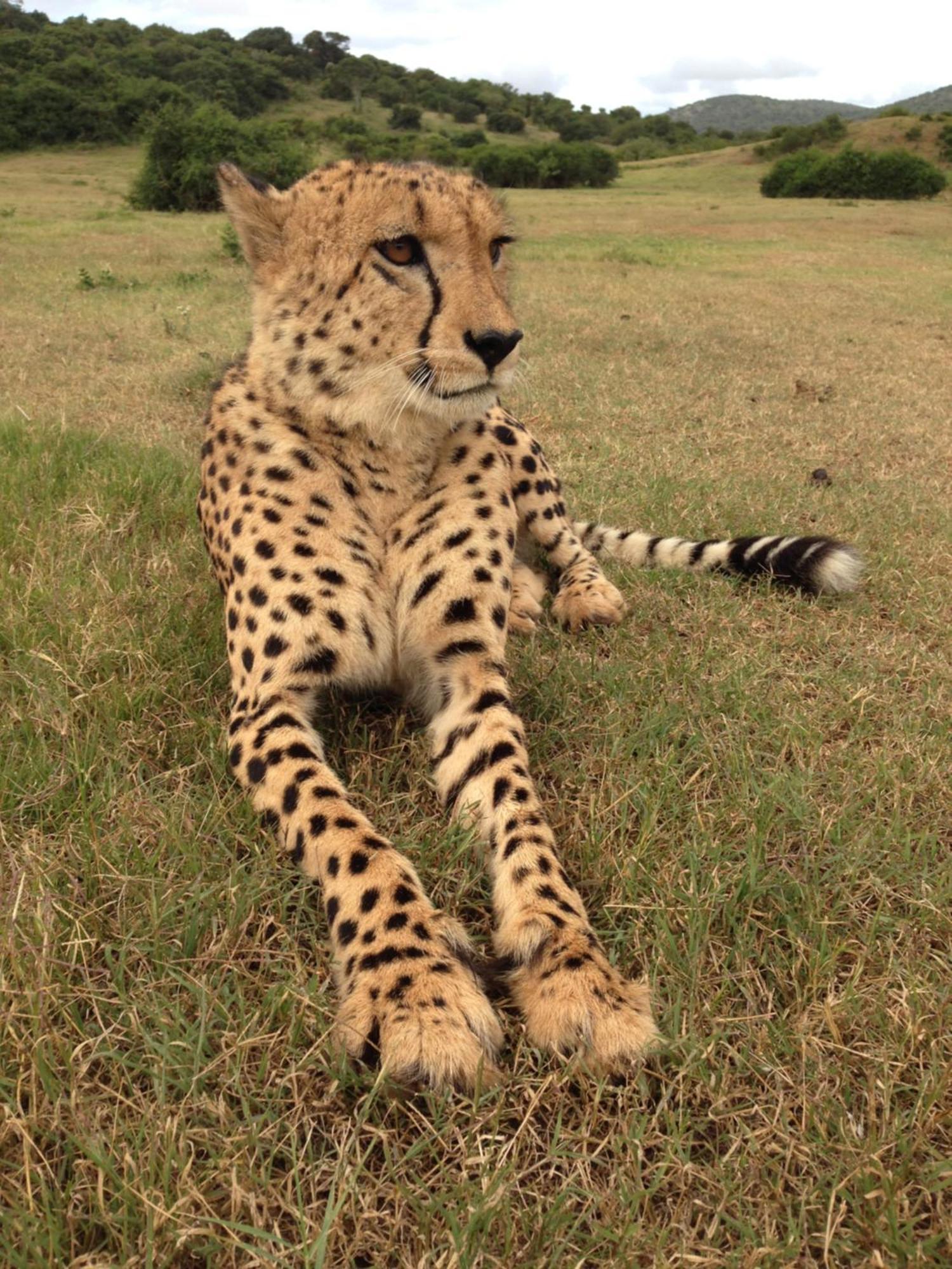 Hopewell Private Game Reserve Buyskloof Exterior foto